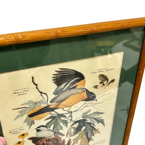 Vintage Arthur Singer framed art print #8 illustration Chikadee birds & flowers - Picture 2 of 10